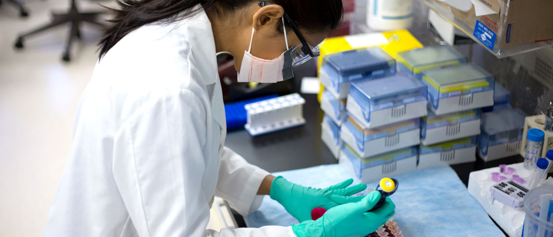 Scientist in a lab