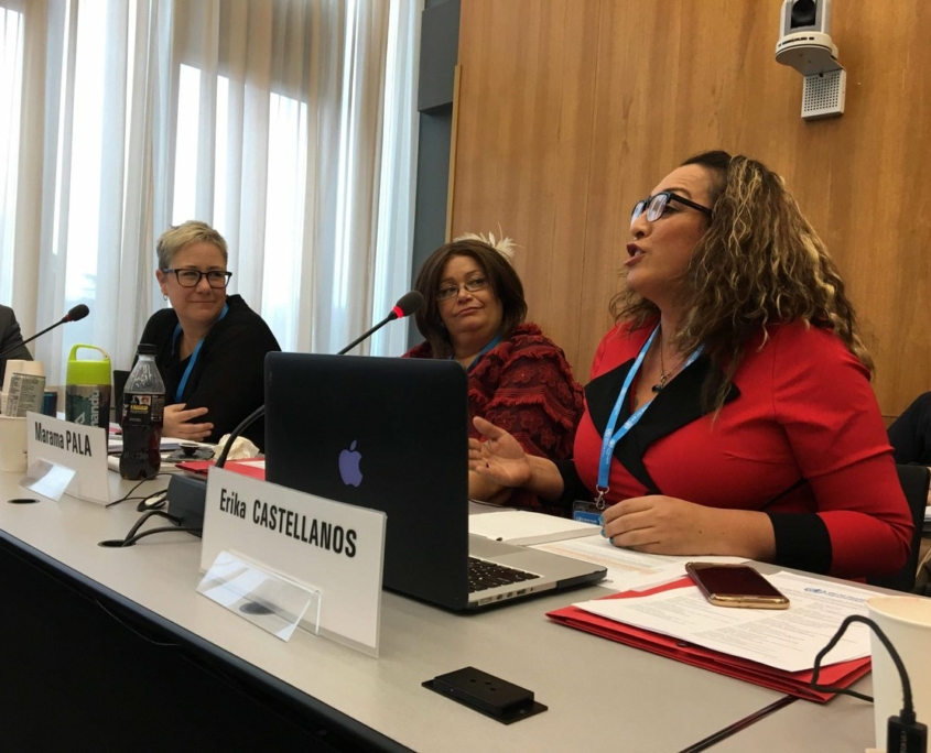 Erika speaking on panel with two other people