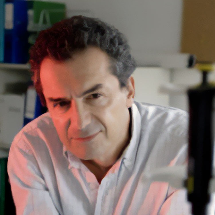 Yves Lévy