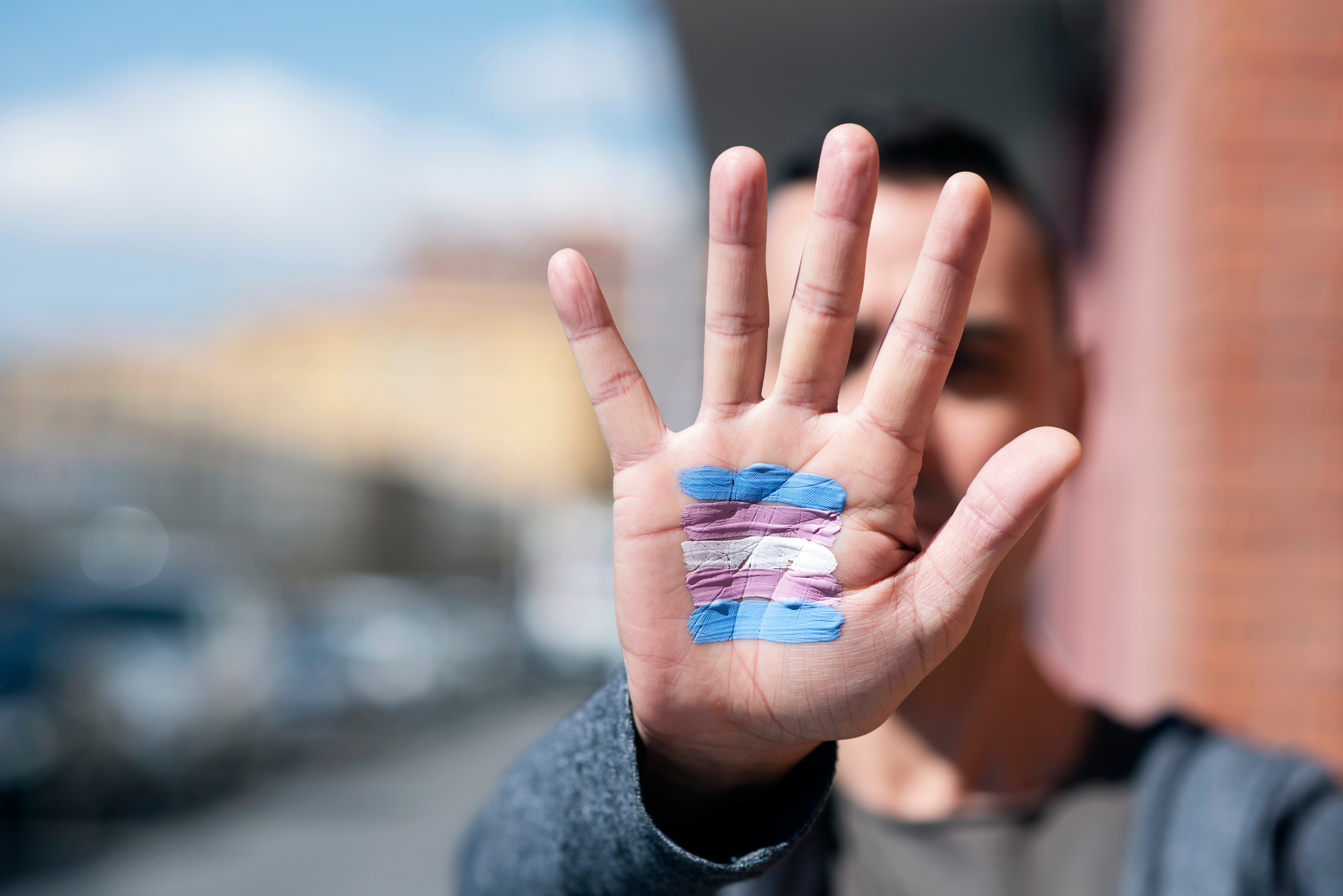 Trans Visibility Day Flag