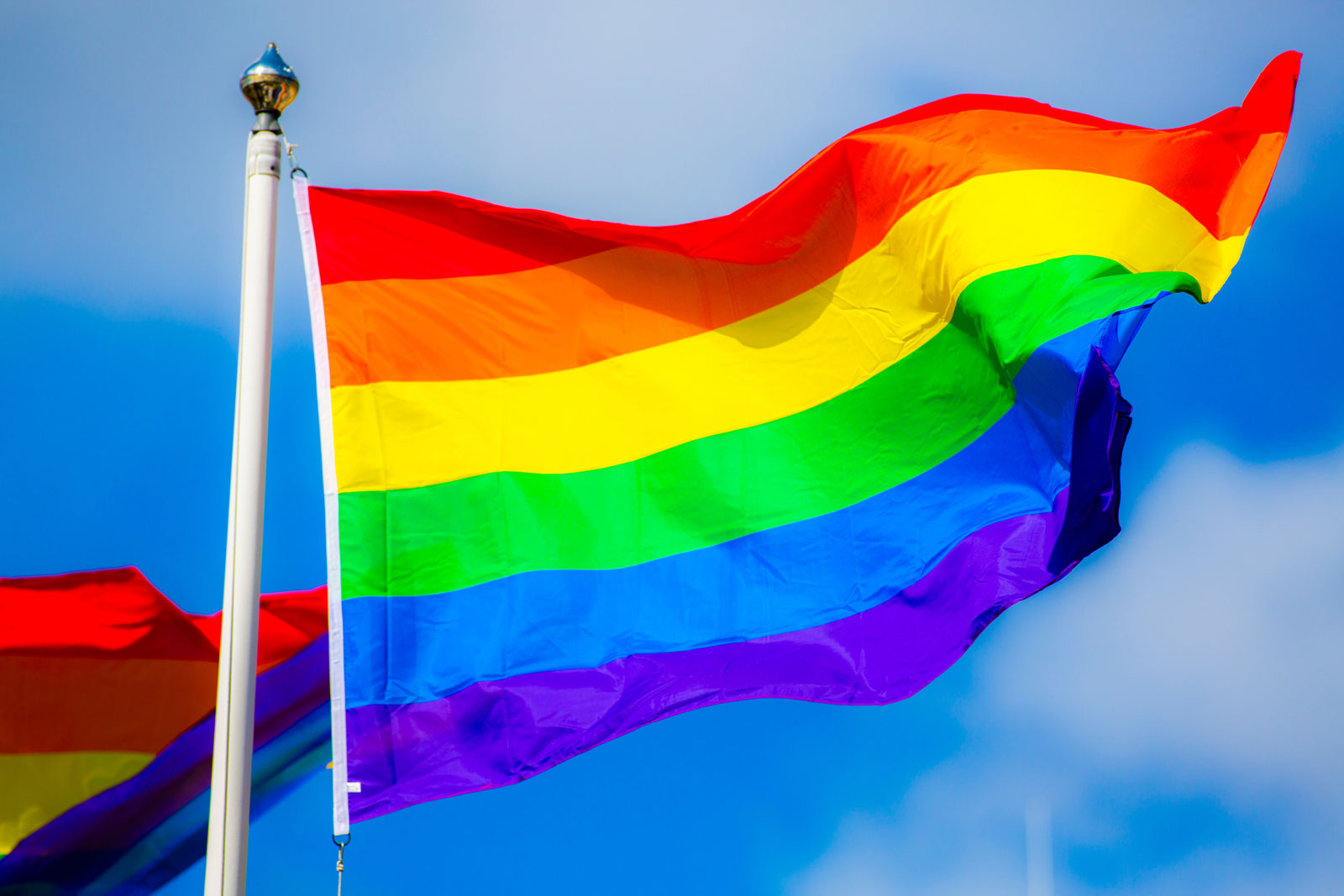 LGBTQ flag