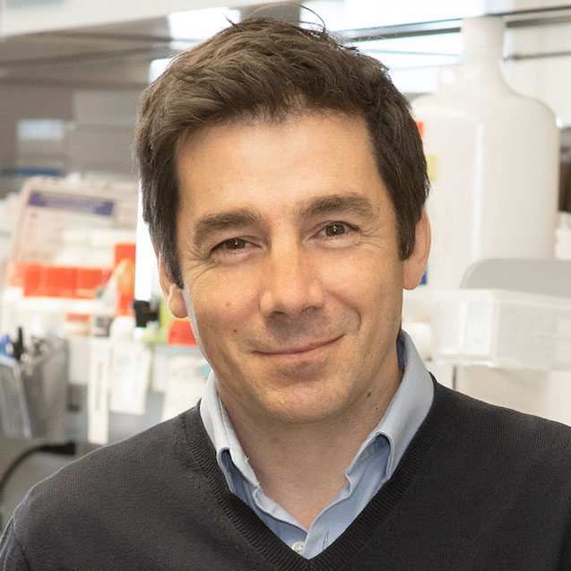 Nicolas Chomont