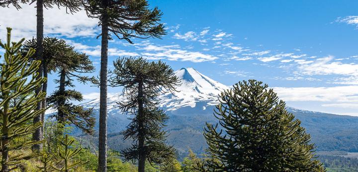 Chile