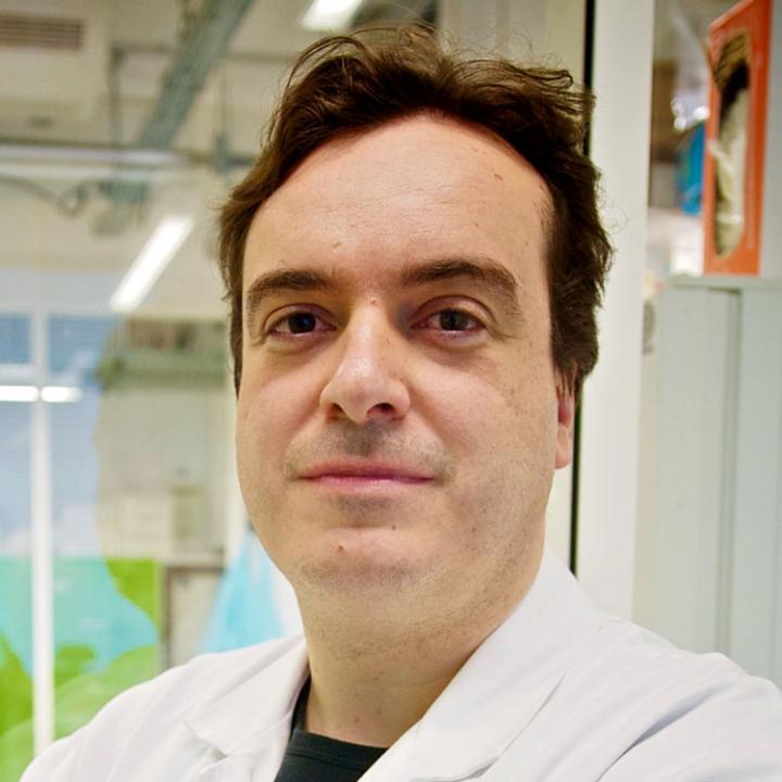 Asier Sáez-Cirión