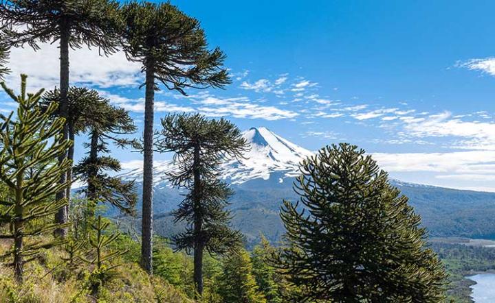 Chile